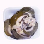 Snail
