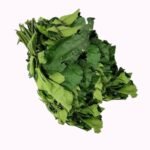 Ugwu Leaf