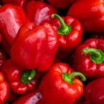 Bell Pepper
