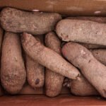 Yam